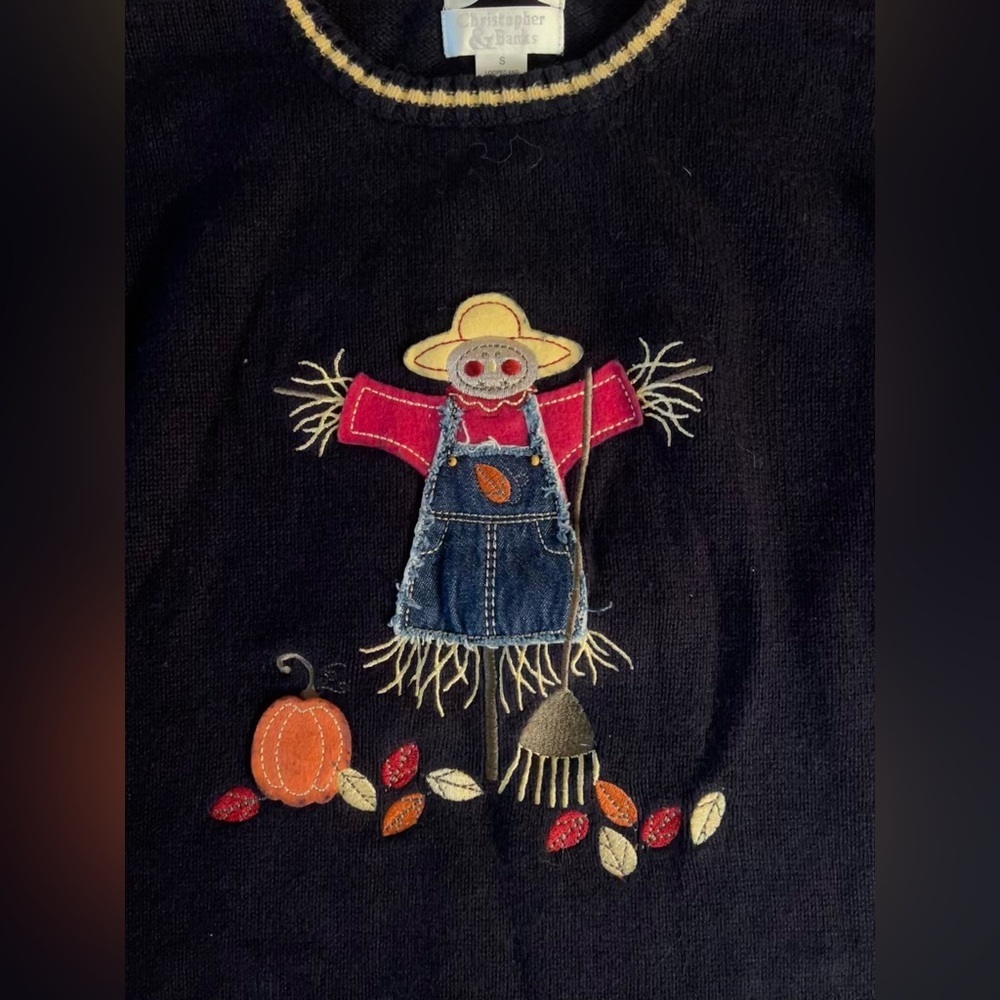 Christopher & Banks Hand Embroidered Blue Knit Scarecrow Sweater Women's Sz S - Picture 3 of 7
